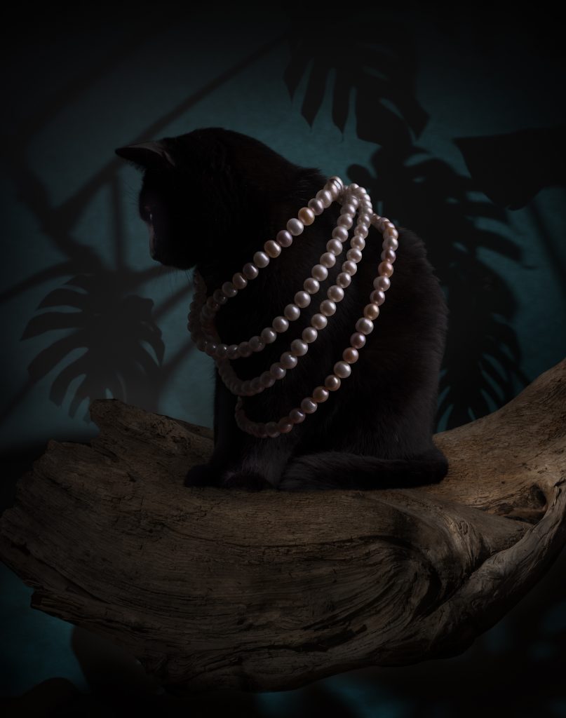 Caroline-Savoie-Joaillerie-Colliers-Perles-Chat-Noir-Photo-Art-Nouveau-Bijoux-Fait-Main-Quebec-Montreal-Handmade-Jewellery-Pearl-Necklace-Black-Cat-Picture-Joaillier-Designer